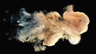 e-STUDIO용 도시바 개발자 파우더 D5070 500g